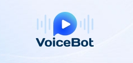      voicebot 