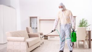 Очистите свой дом от бактерий и вирусов: Dez Service предлагает дезинфекционные услуги в Краснодаре