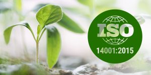  ISO 14001:   